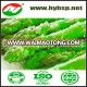 Fresh Frozen Green Asparagus